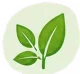 Groen blaadje