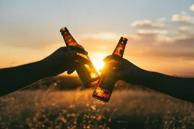 Twee handen die bierflesjes tegen elkaar tikken bij zonsondergang