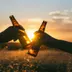 Twee handen die bierflesjes tegen elkaar tikken bij zonsondergang
