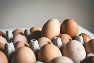 Bruine en witte eieren in een eierdoos