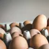 Bruine en witte eieren in een eierdoos