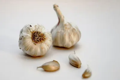 Twee knoflookbollen en losse teentjes op een witte ondergrond