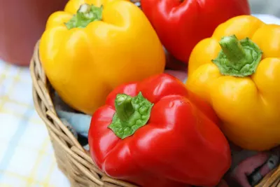 Rode en gele paprika's in een rieten mand