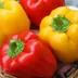 Rode en gele paprika's in een rieten mand