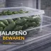 Groene jalapeño-pepers in een doorzichtige bewaarbak in de koelkast