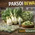 Verse paksoi en gesneden paksoi in bakjes en diepvrieszakjes