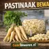 Hele pastinaken en blokjes pastinaak in diepvrieszakjes en bakjes