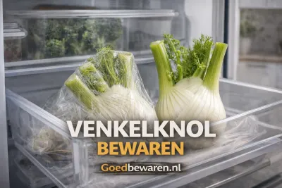 Twee venkelknollen in plastic in de groentelade van de koelkast