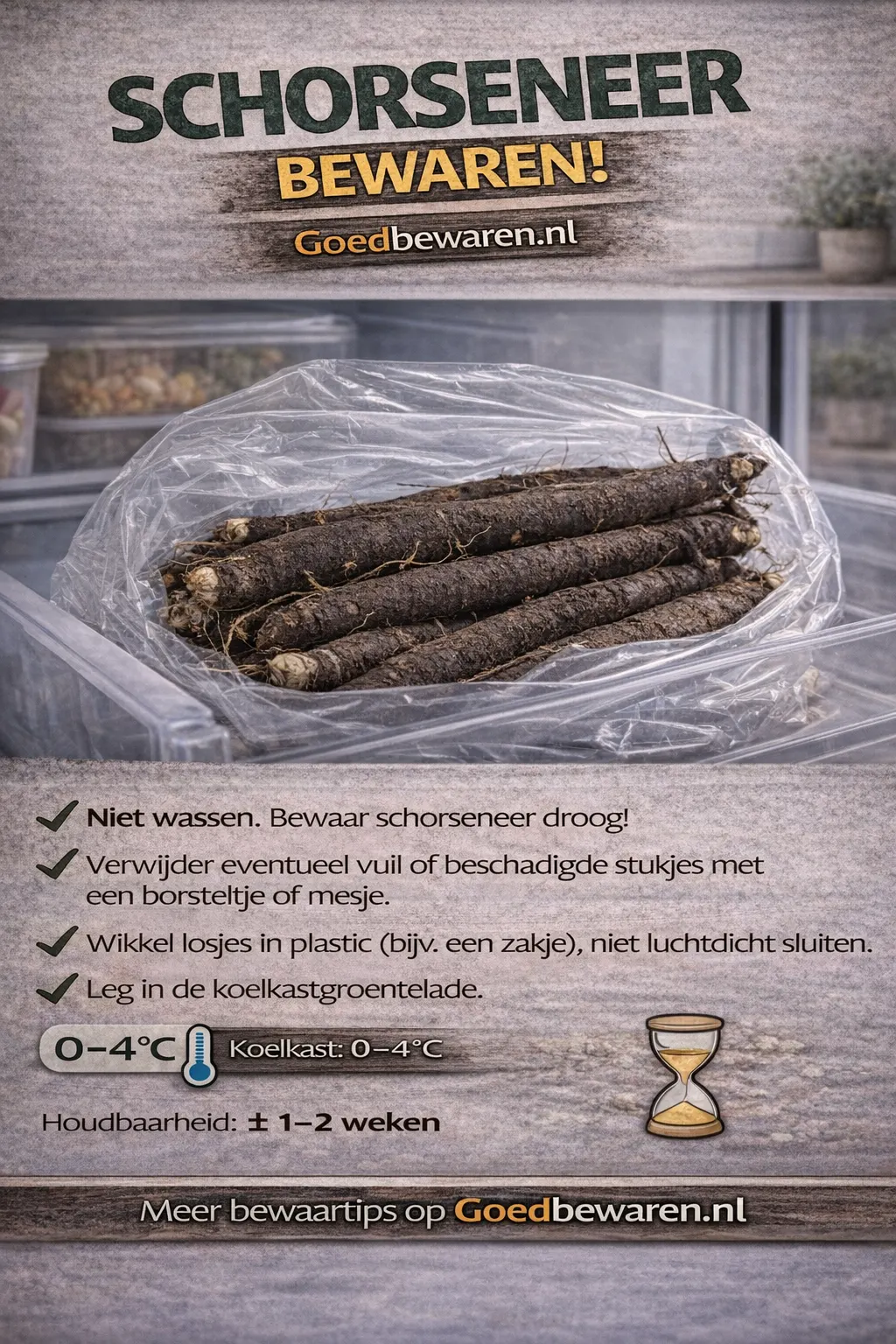 Infographic schorseneer bewaren