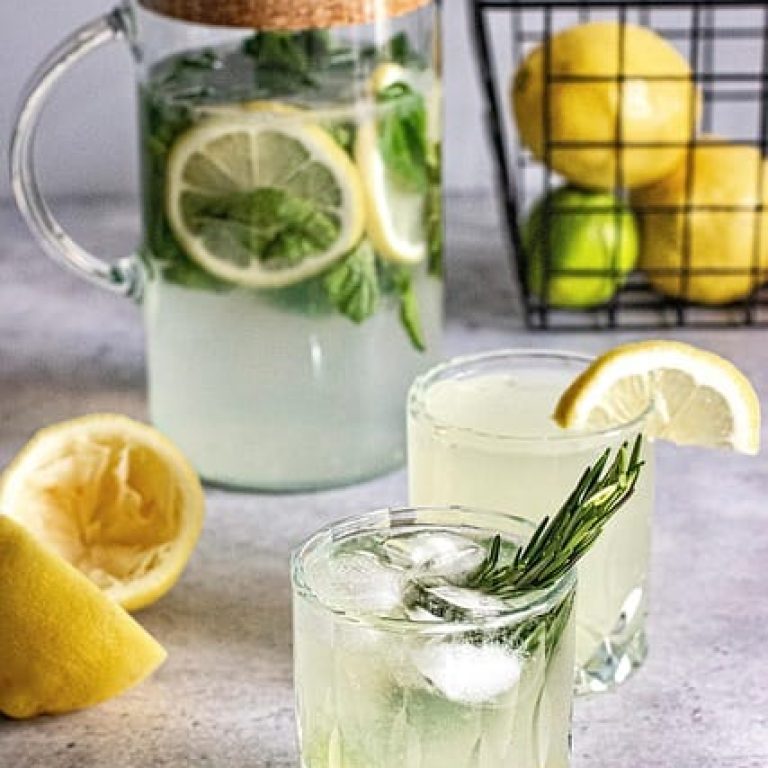 advies Hoe Limonadesiroop BewarenHoe Limonadesiroop Bewaren