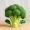 broccoli hoe moet ik deze bewaren