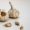 knoflook bewaren
