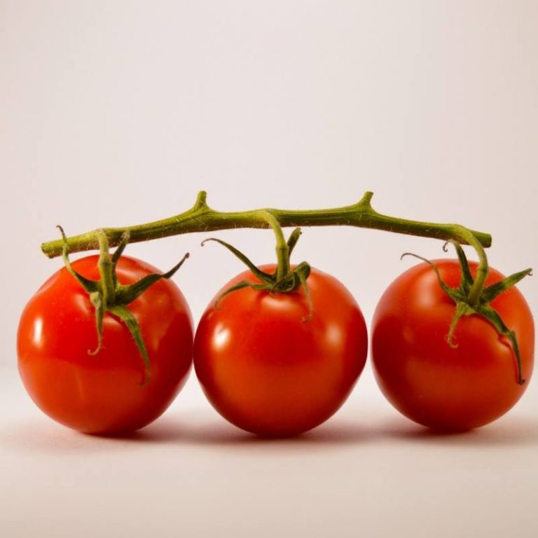tomaten bewaren